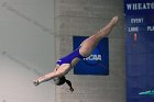 Women's Diving  Wheaton College Women’s Diving vs Mount Holyoke College. - Photo by Keith Nordstrom : Wheaton, Swimming & Diving